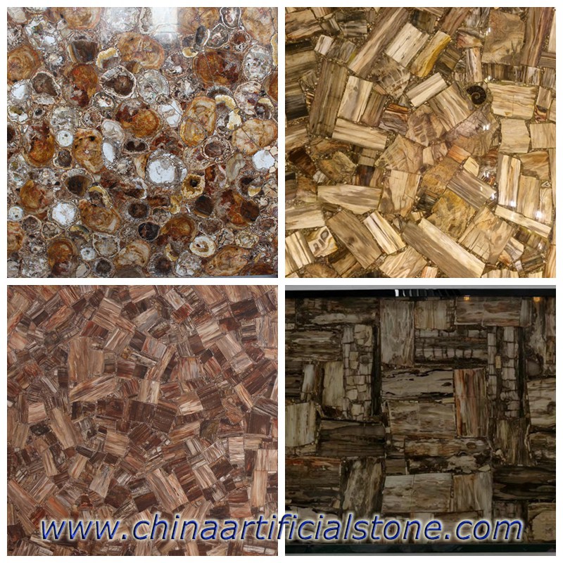 Petrified Wood gemstone slabs patterns